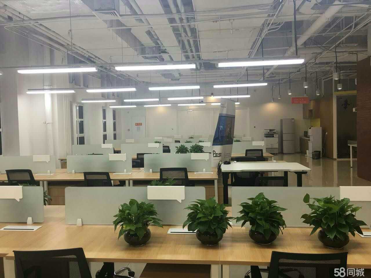 深耕天津 萬盛嘉禾的國際貿易智慧升級與軟件開發新動能